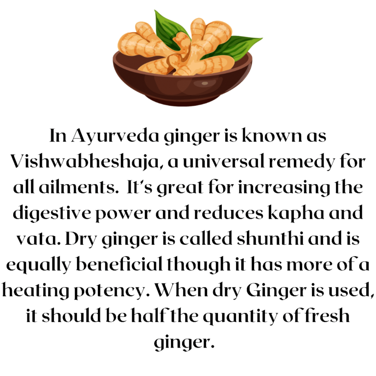 Ayurvedic Superfoods Ginger